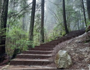 Capilano Pacific Trail