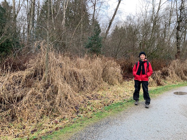 A Vision in Black and Red