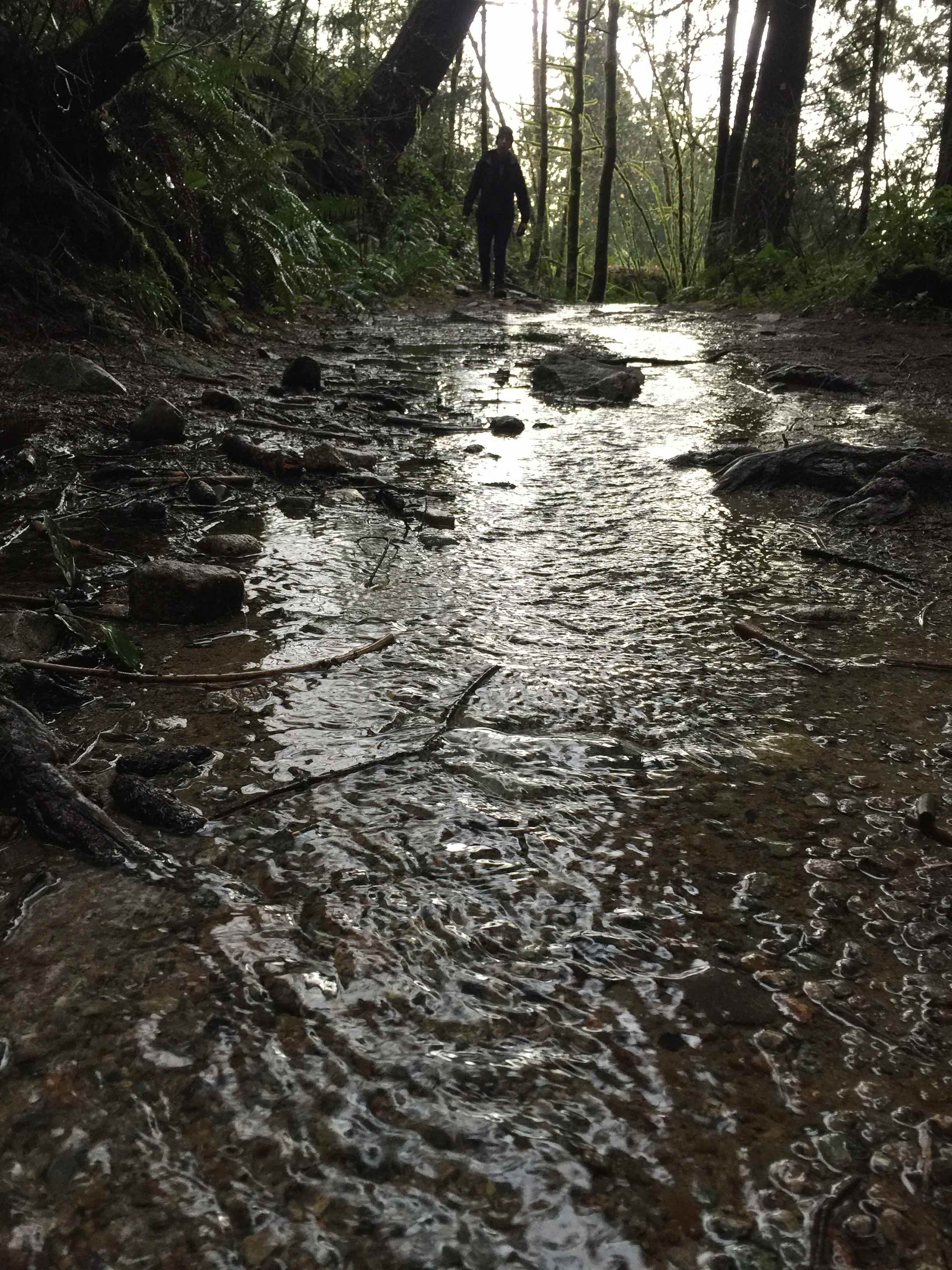 Strolling the stream bed