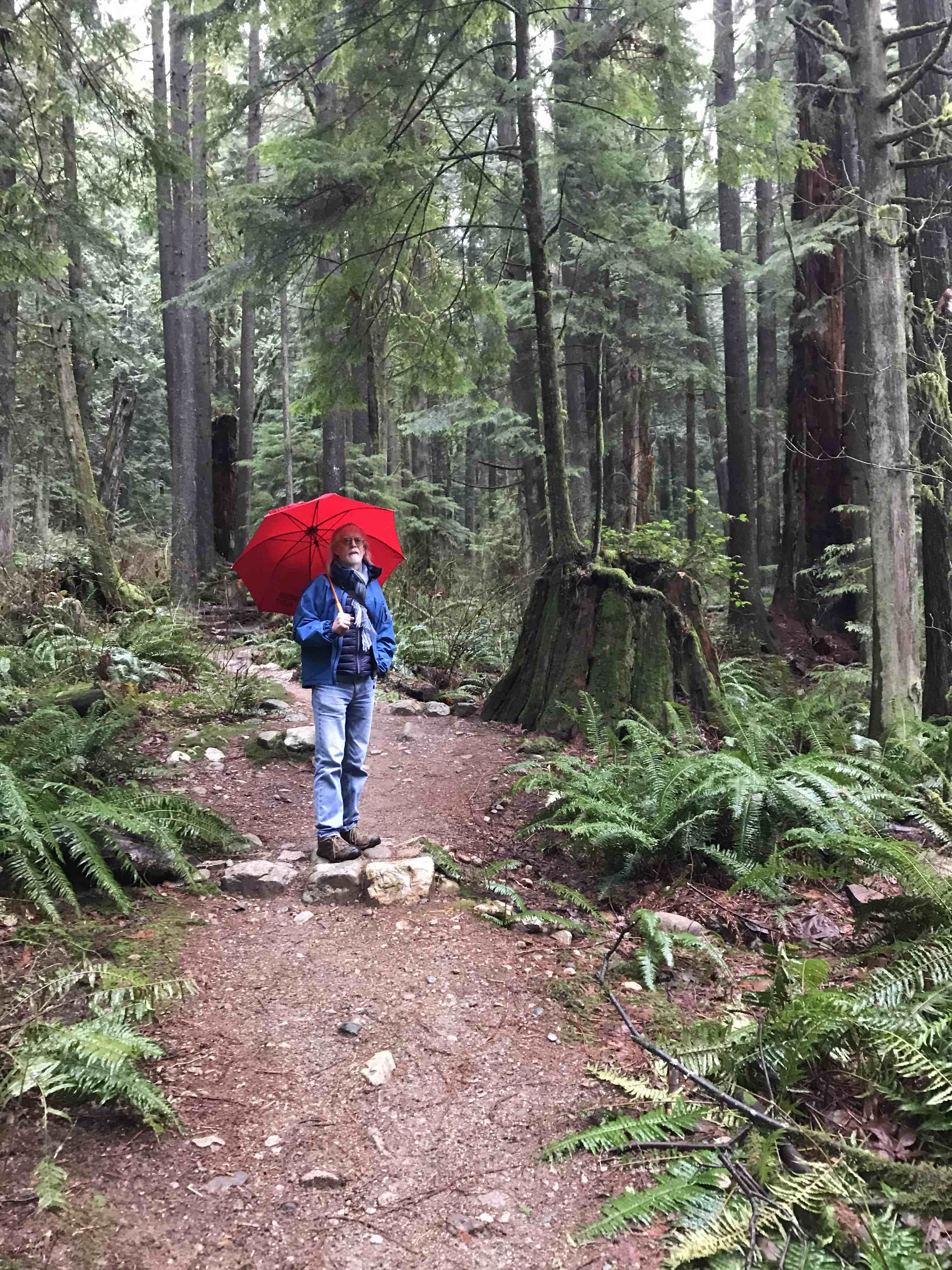 Michael, warding off the rain