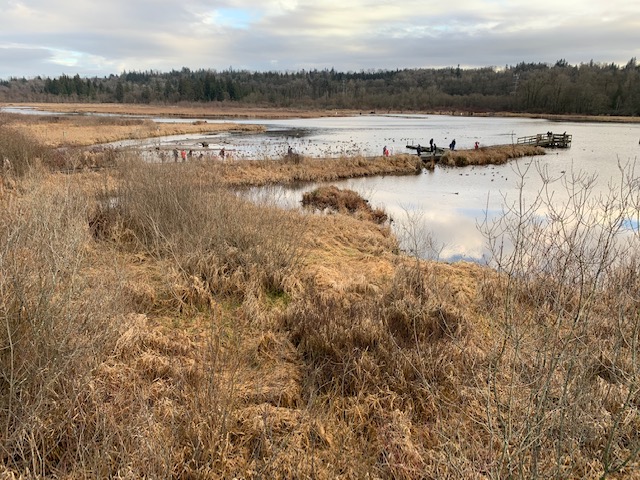 View from the platform