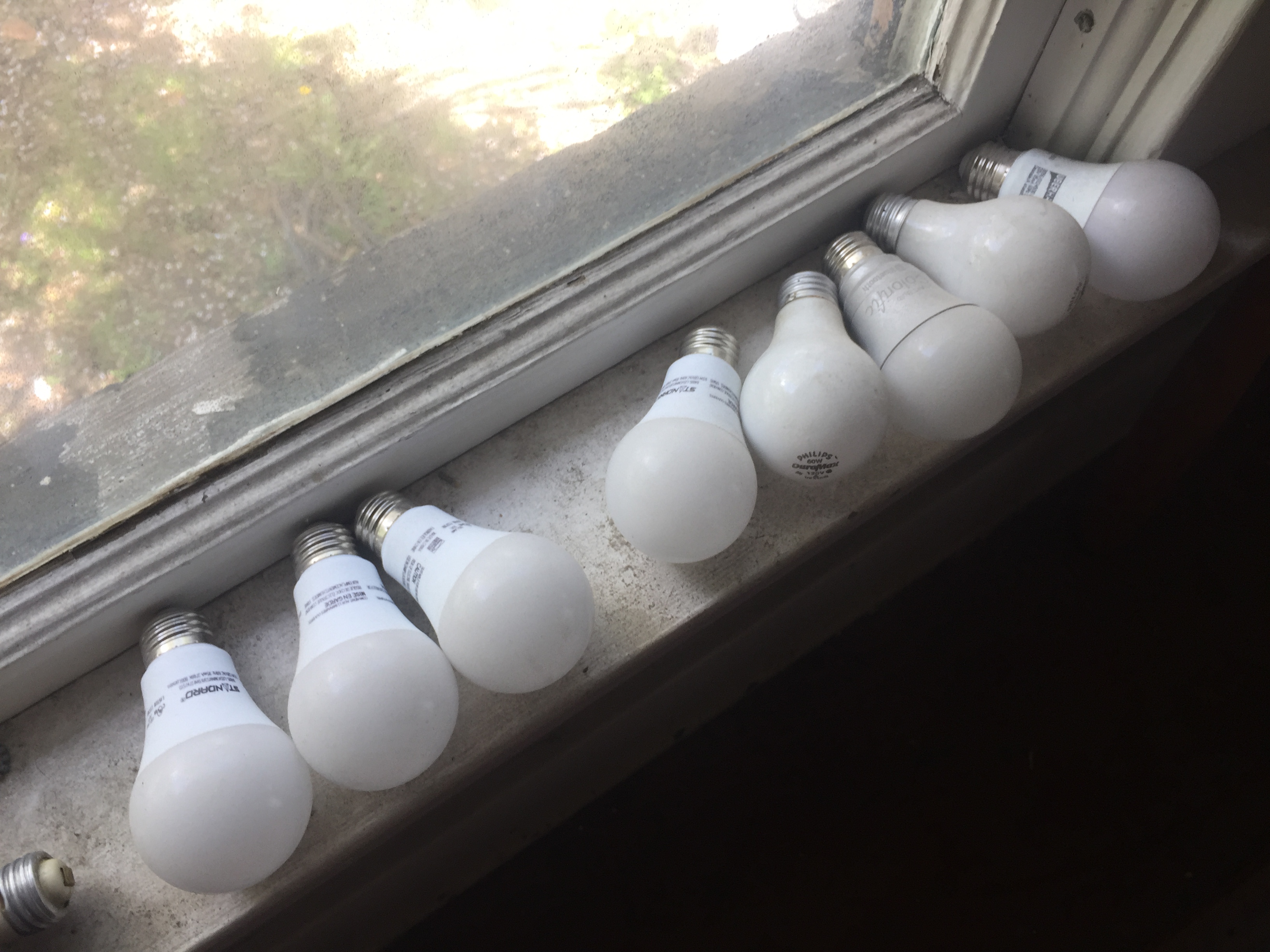 Spring bulbs await planting