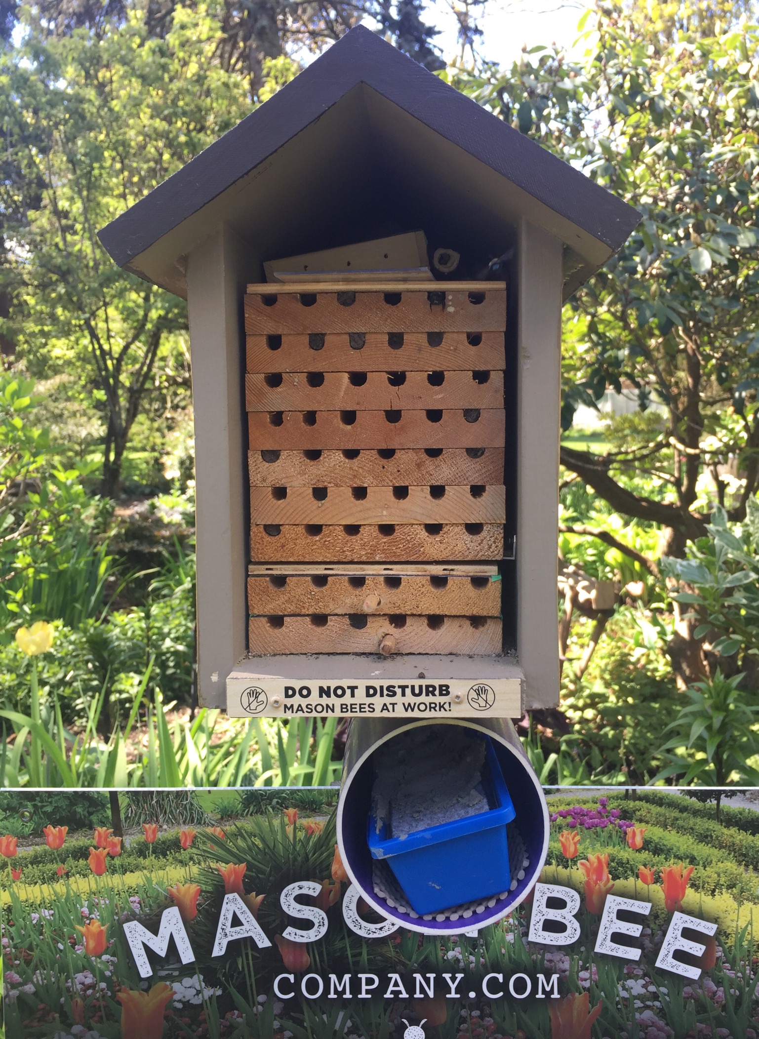 Mason bee highrise