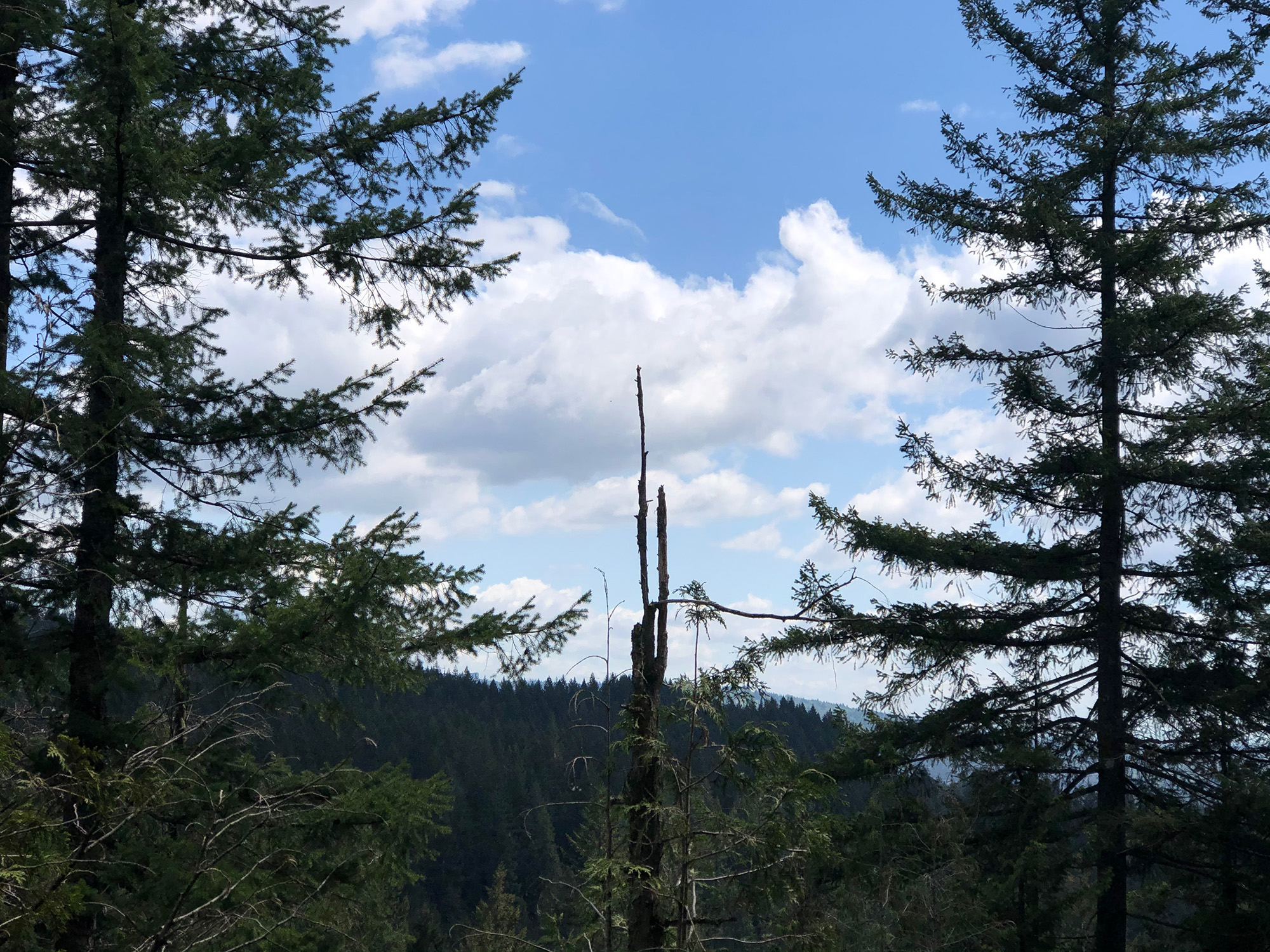 Snack spot at the lookout