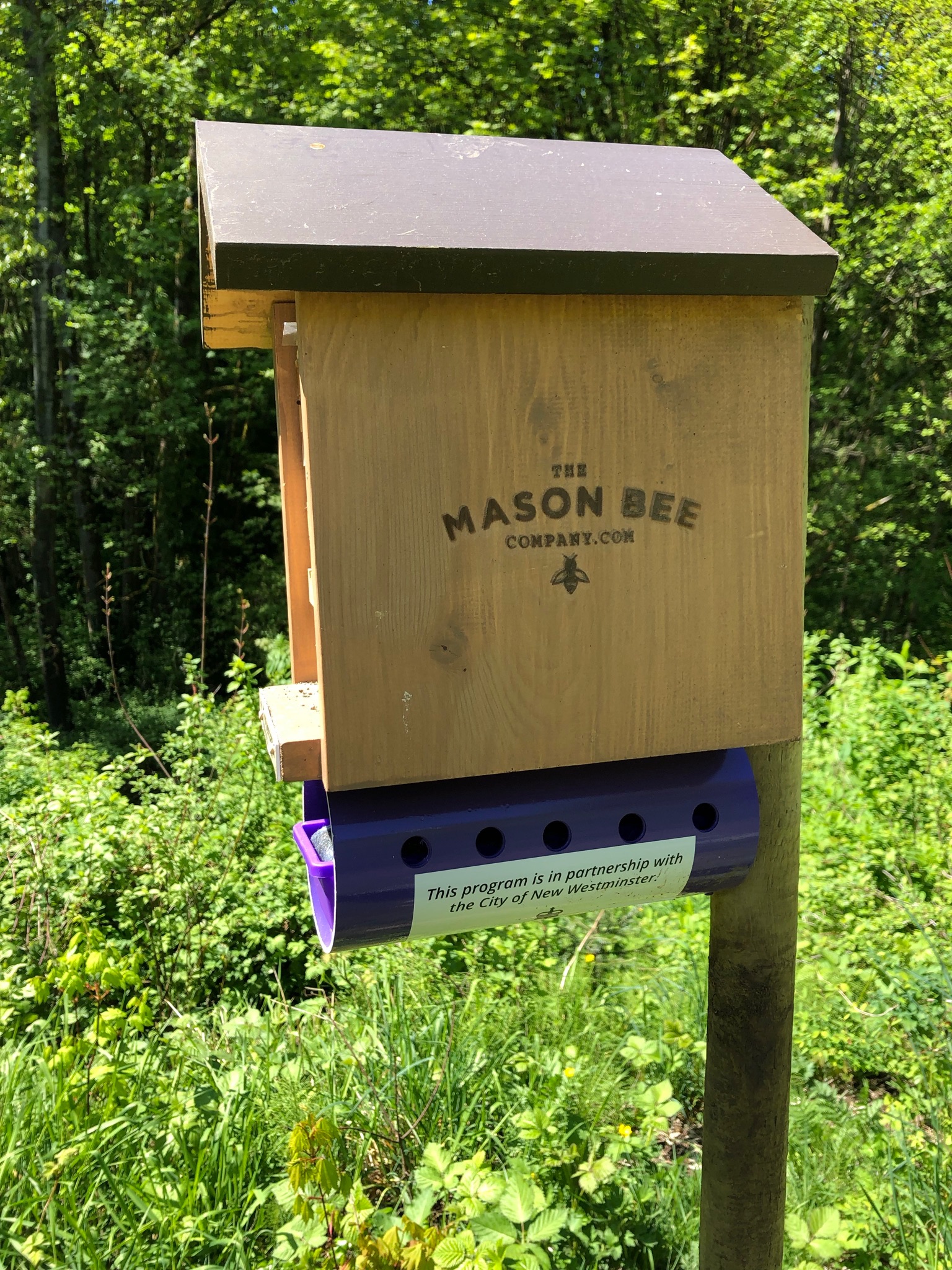 Mason bee house