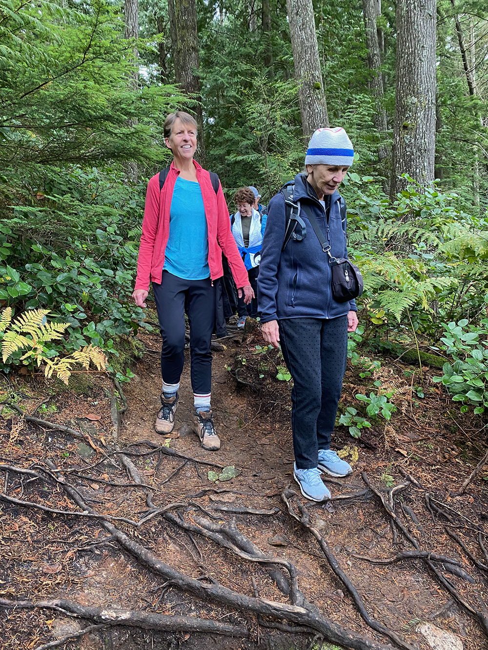 Descending to the lake, 1