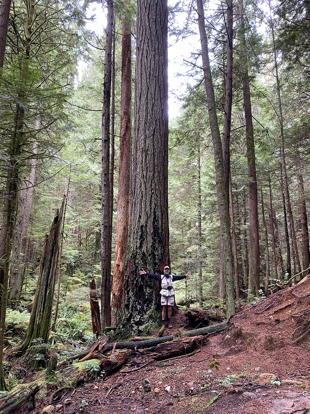 With human for scale