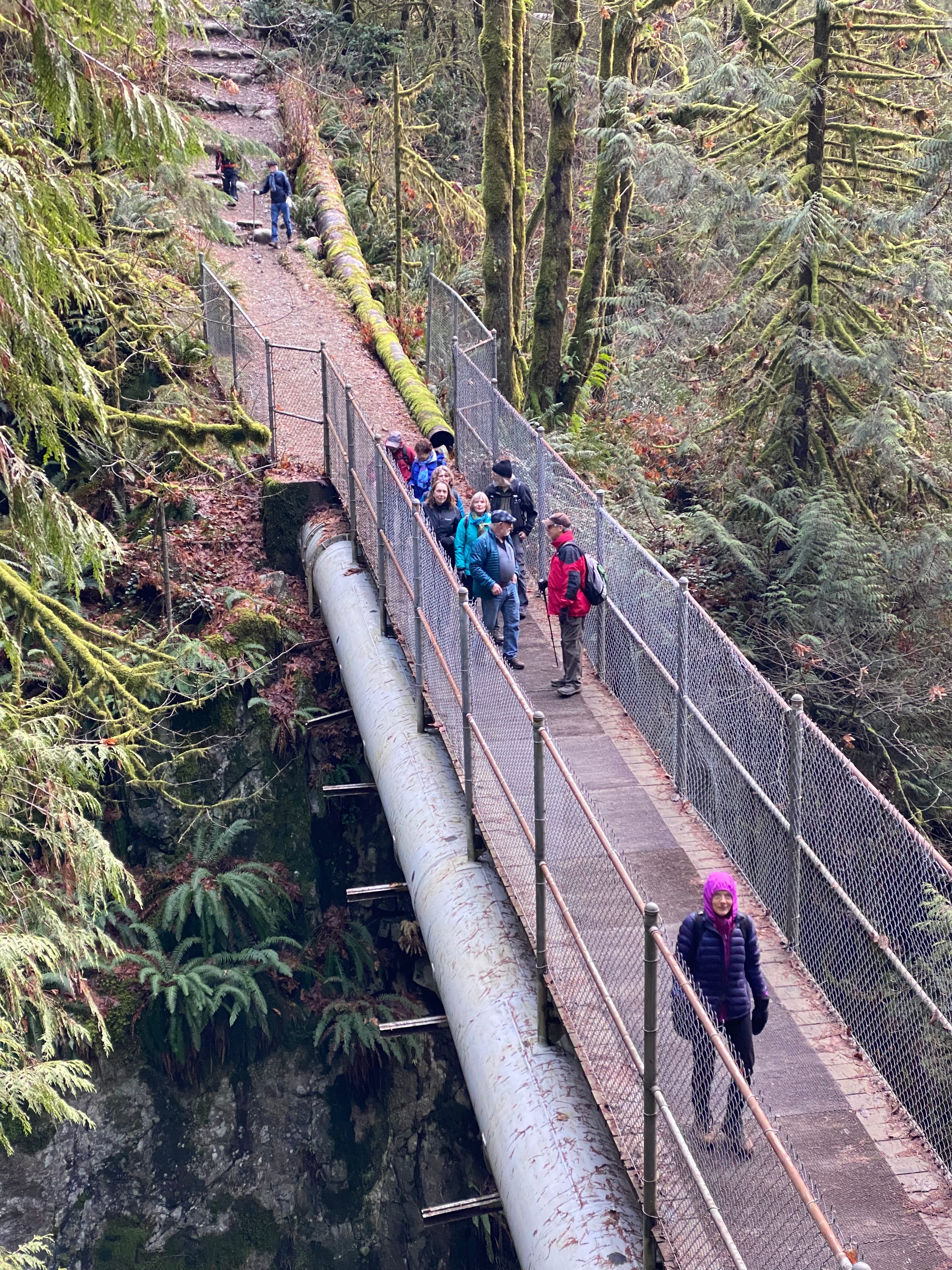 Pipe bridge over the Seymour