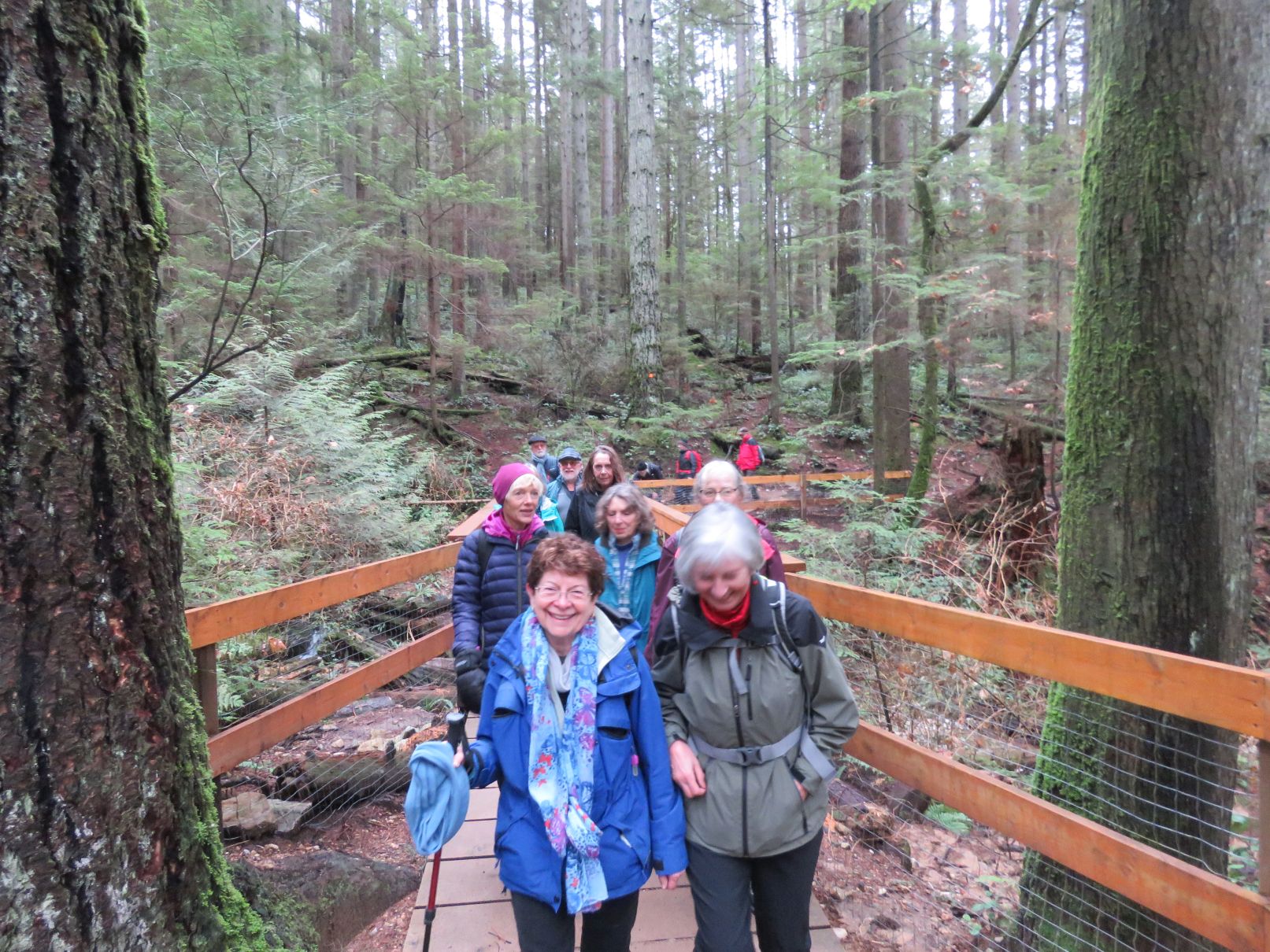 Crossing one of many bridges