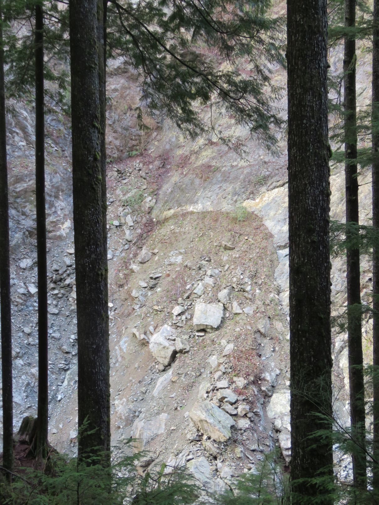 Seymour River landslide