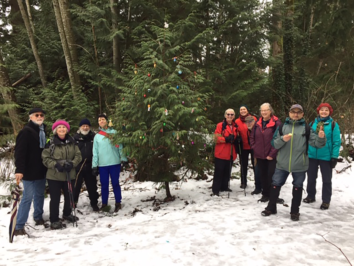 Around the festive tree