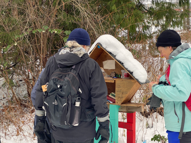 Checking out the free library