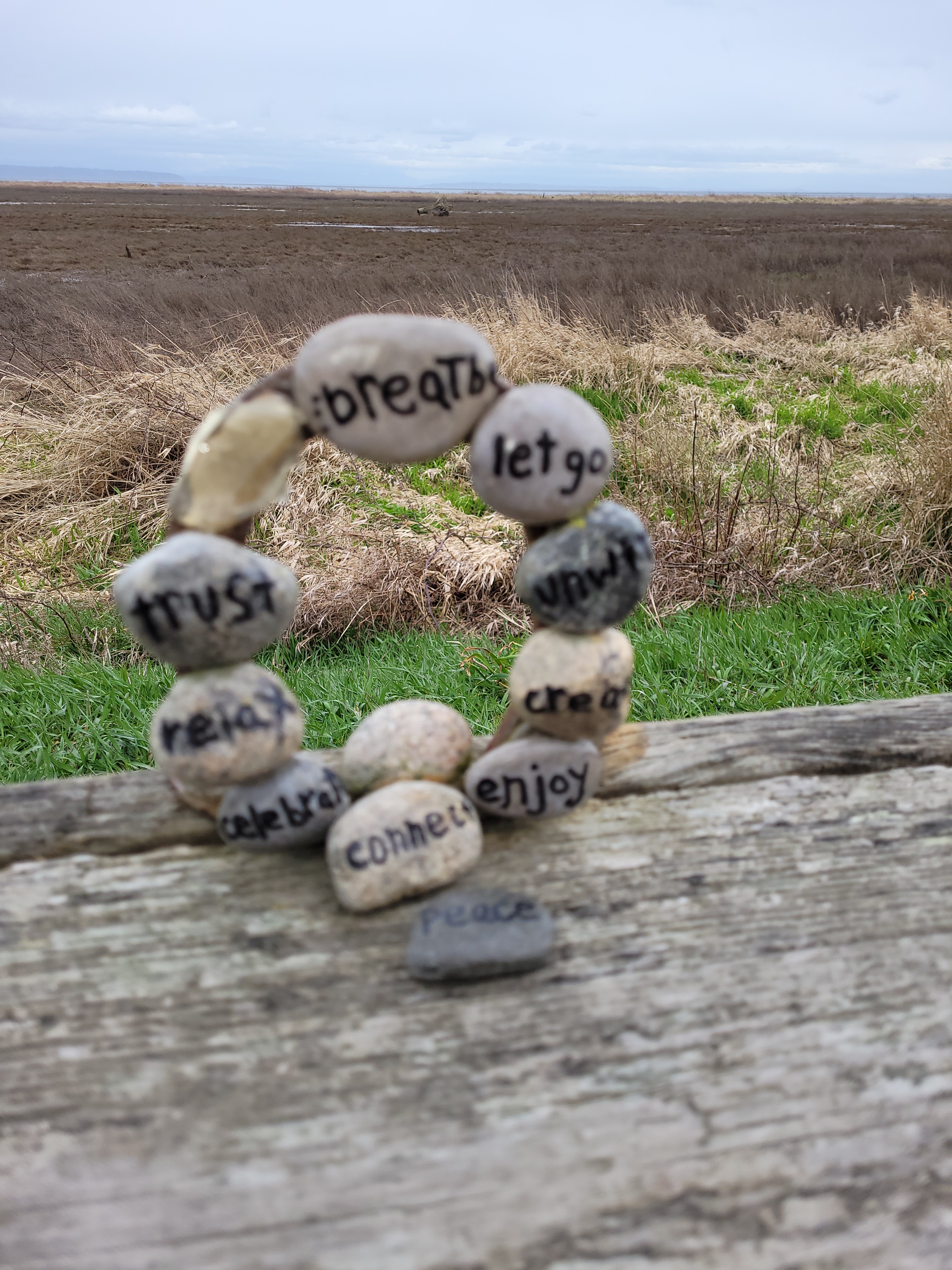 Rock art at the John Deere Cut-Out