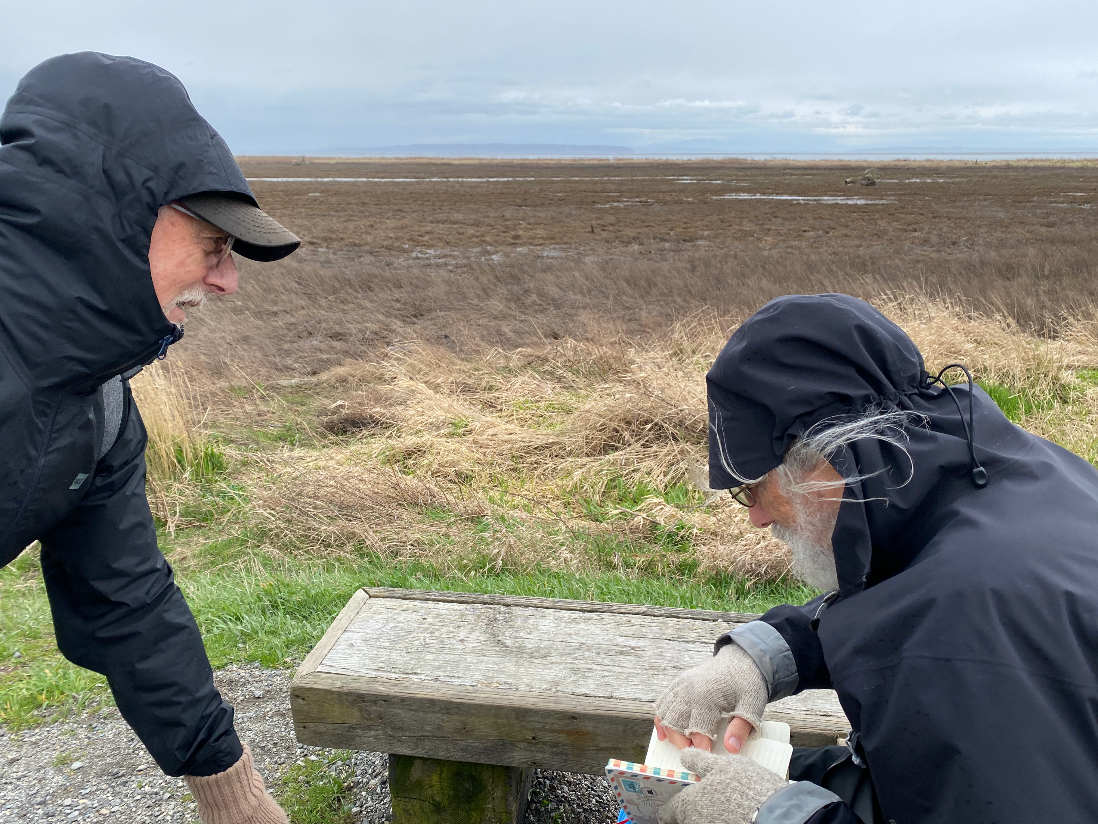 Writing in the guest book