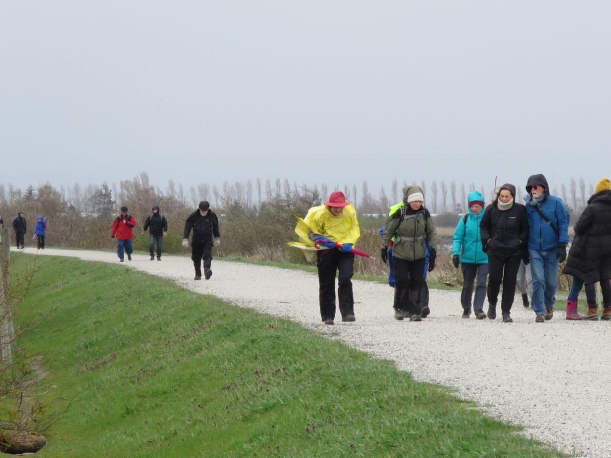 2022 April 3: Boundary Bay to&nbsp;Tsawwassen