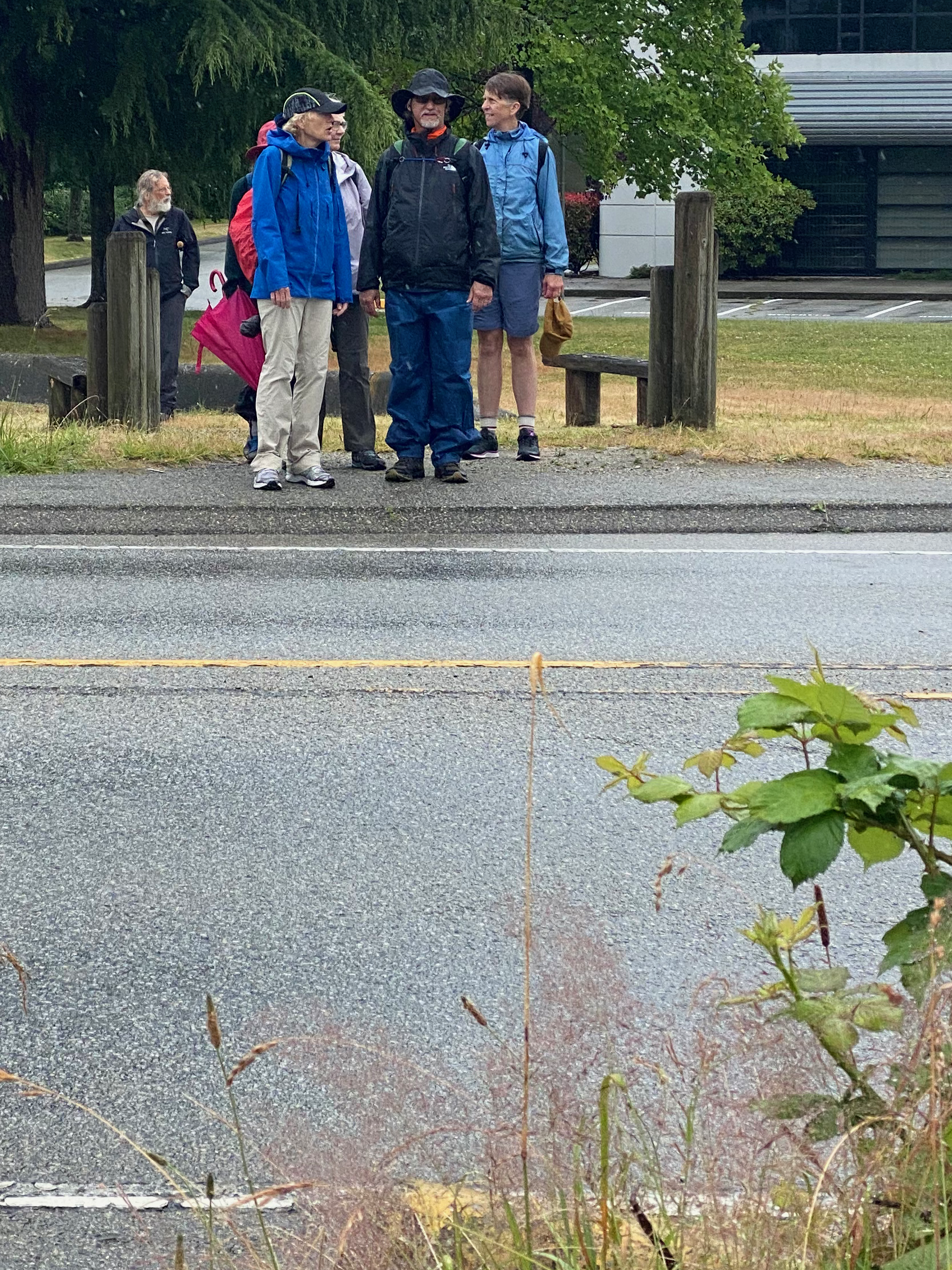 Cross when safe to do so