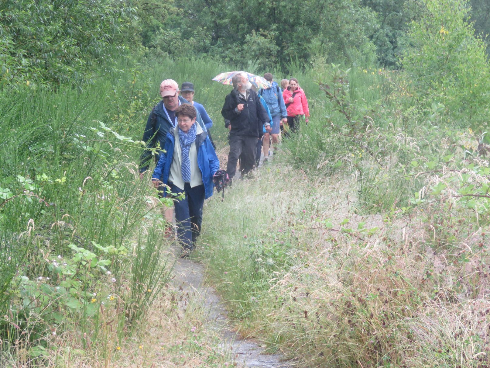 Emerging from the soggy trail