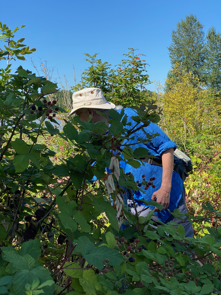 Searching for perfection