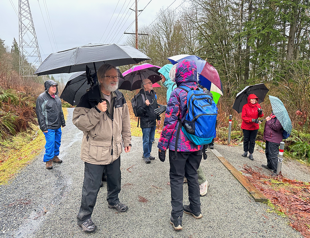 Emerging onto Powerline