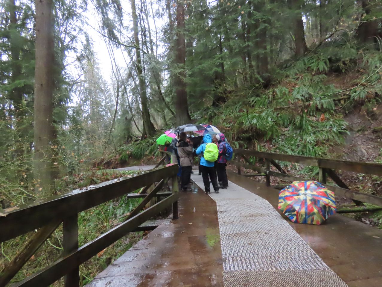 Umbrellas conferring (with one dissenter)