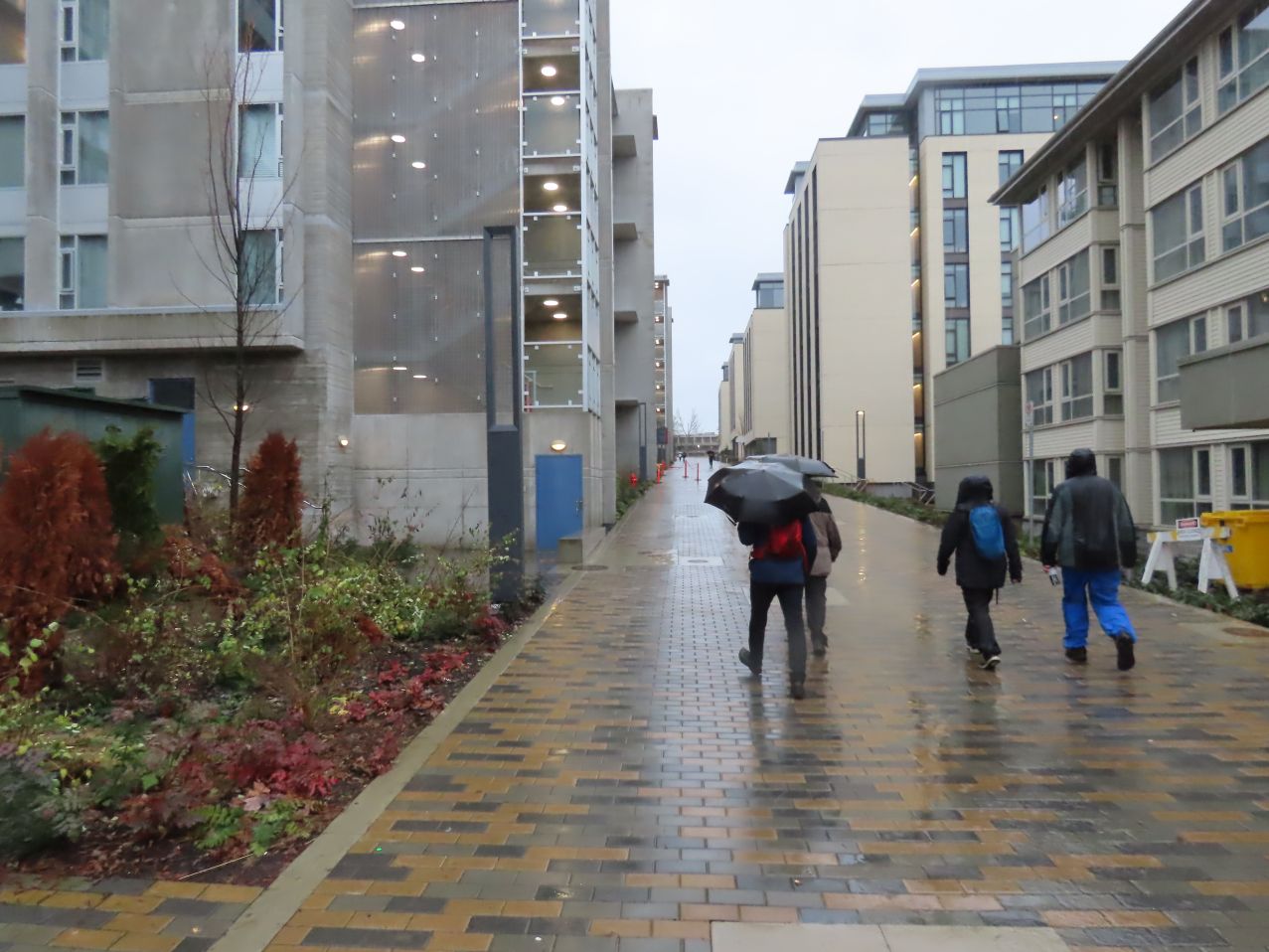 Into the SFU campus