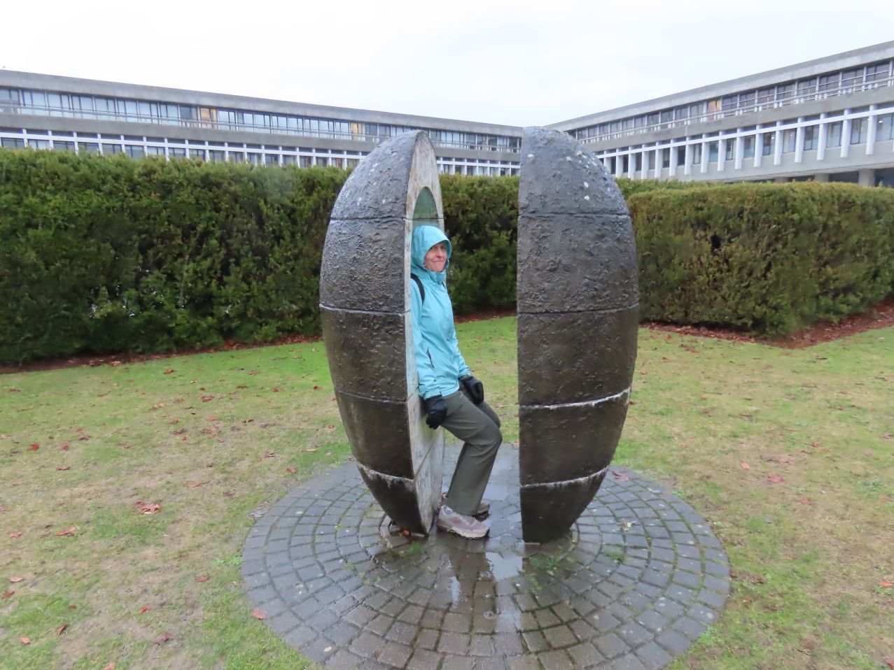 What eggxactly is Carol doing?