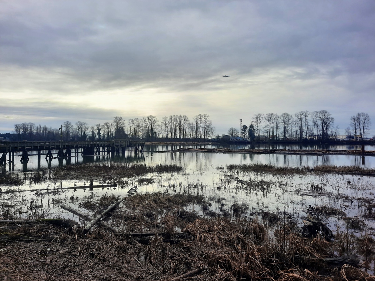 2023 February 5: Fraserview trails and the Fraser&nbsp;River