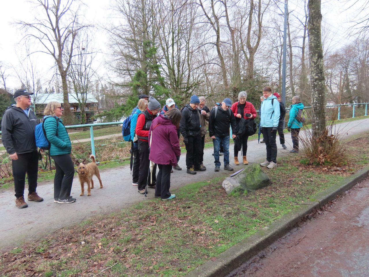 The Chicken Coop explained by Carol