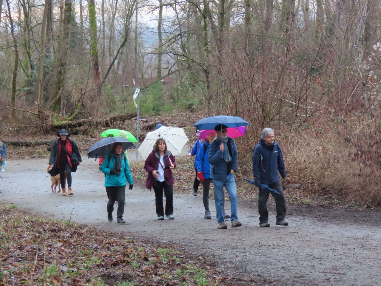 In Everett Crowley Park
