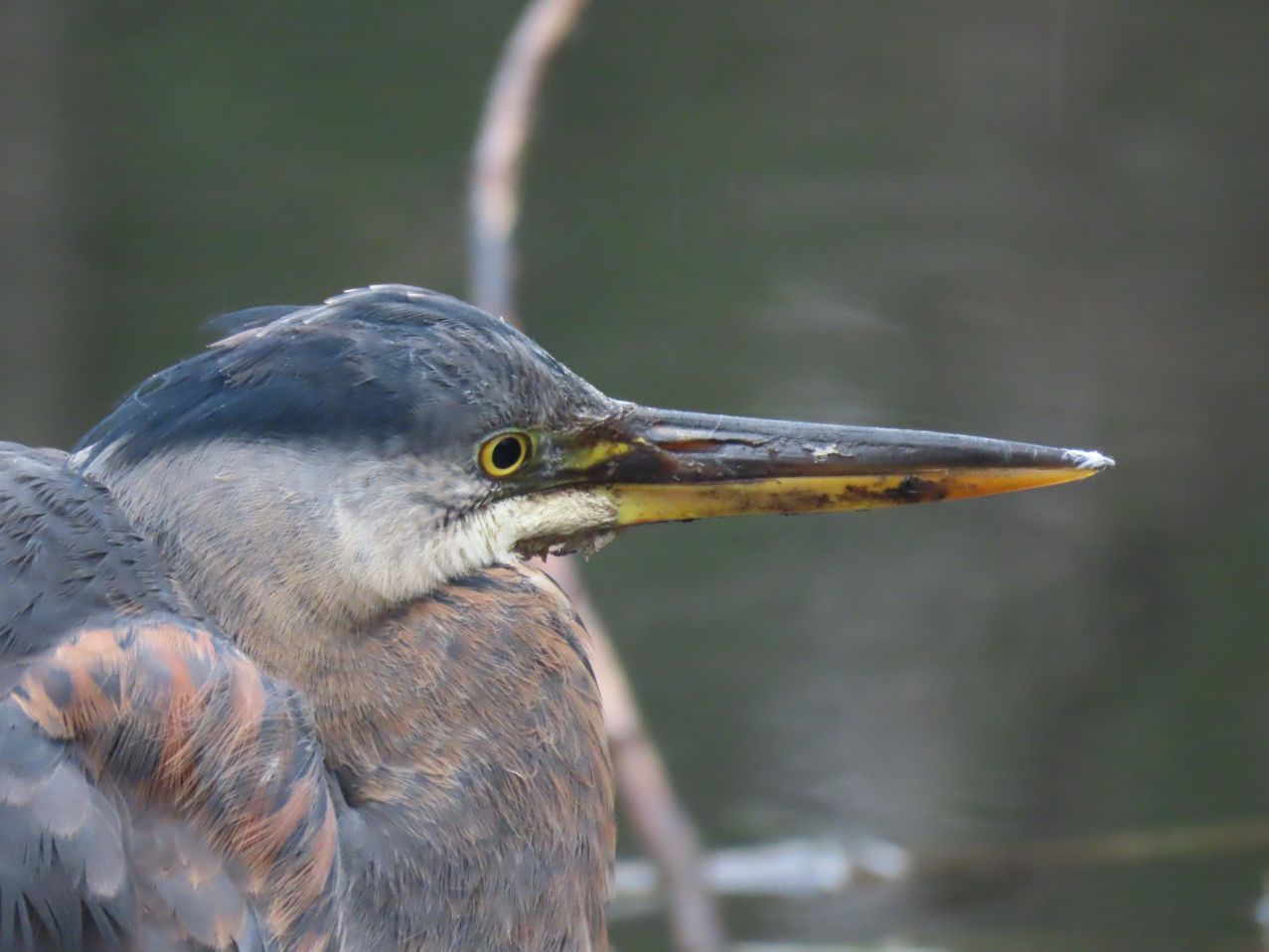 Ready for my closeup