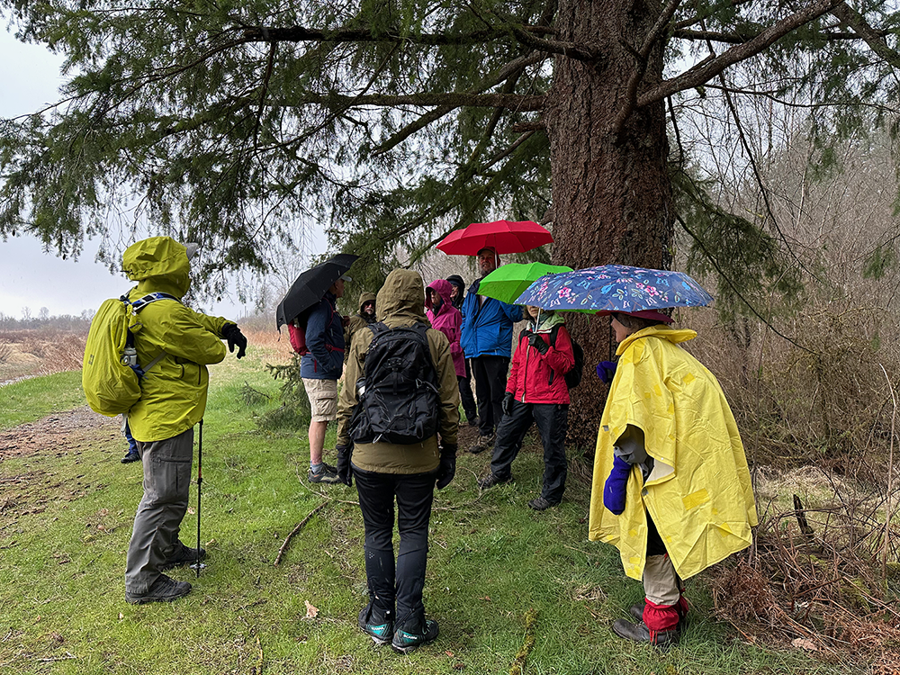 Sheltering from the hail