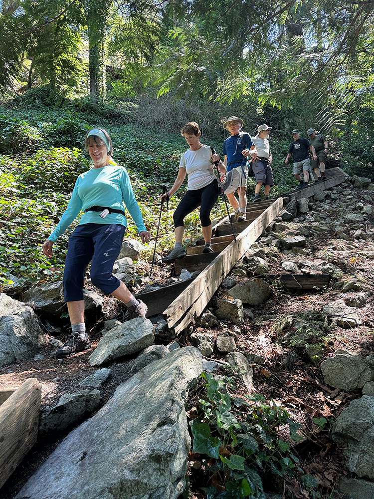 Descending rickety steps