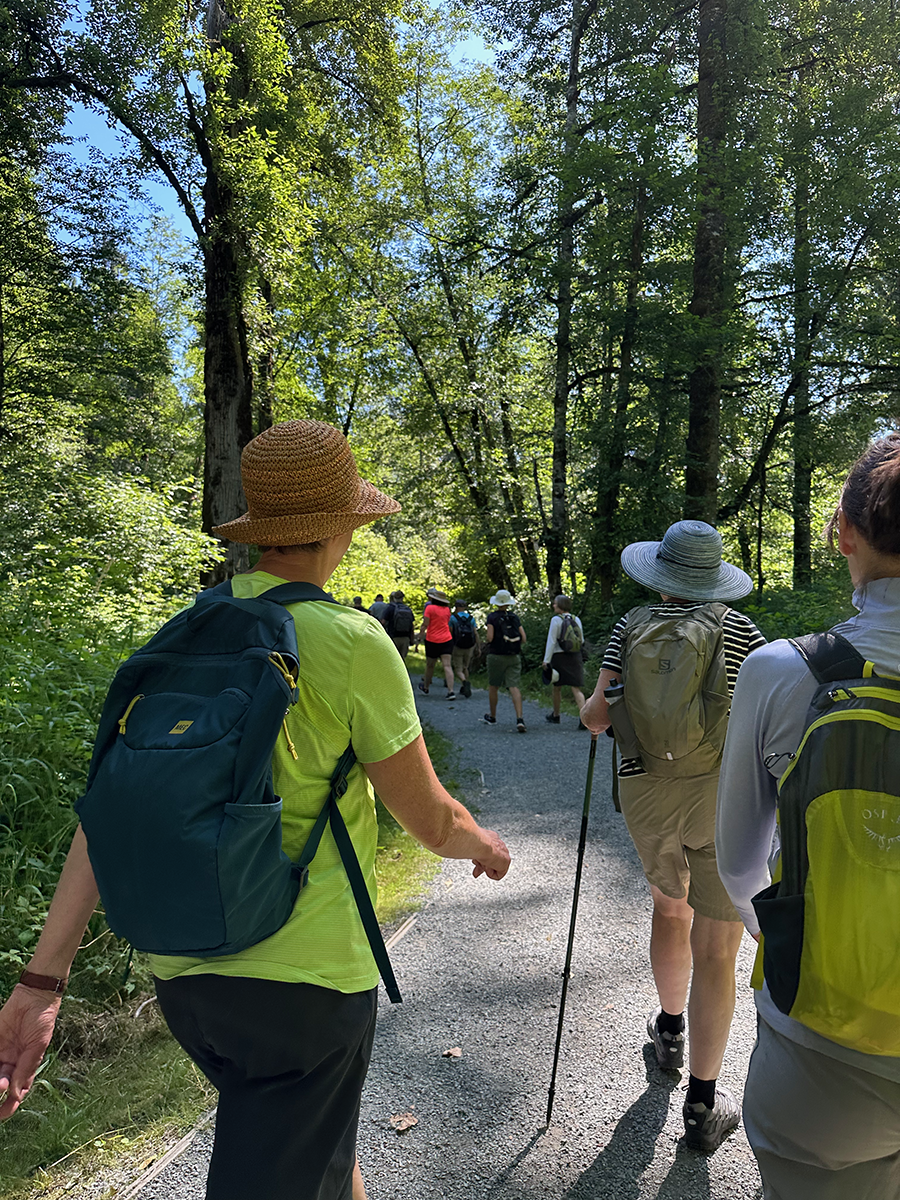 A perfect, sunny day