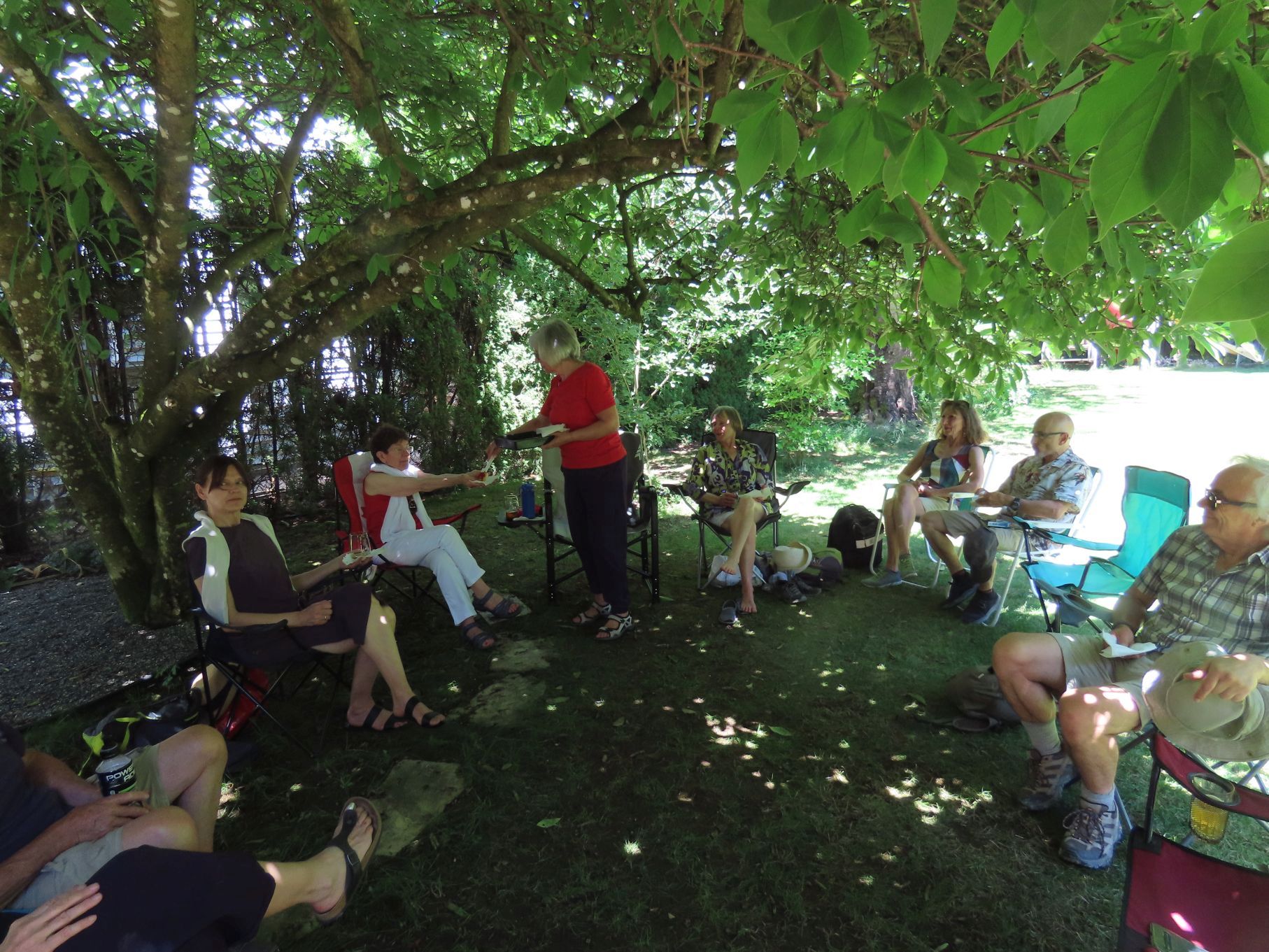 Relaxing in the shade