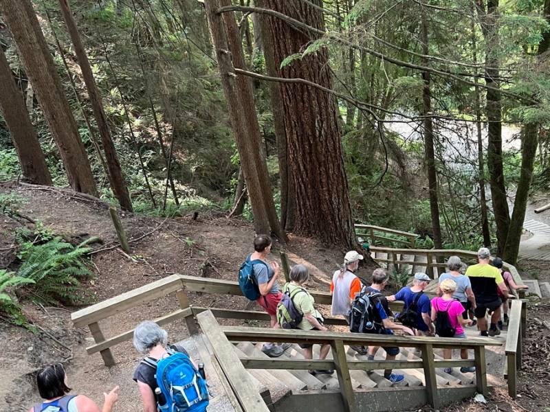 2023 August 6: Capilano River Regional&nbsp;Park