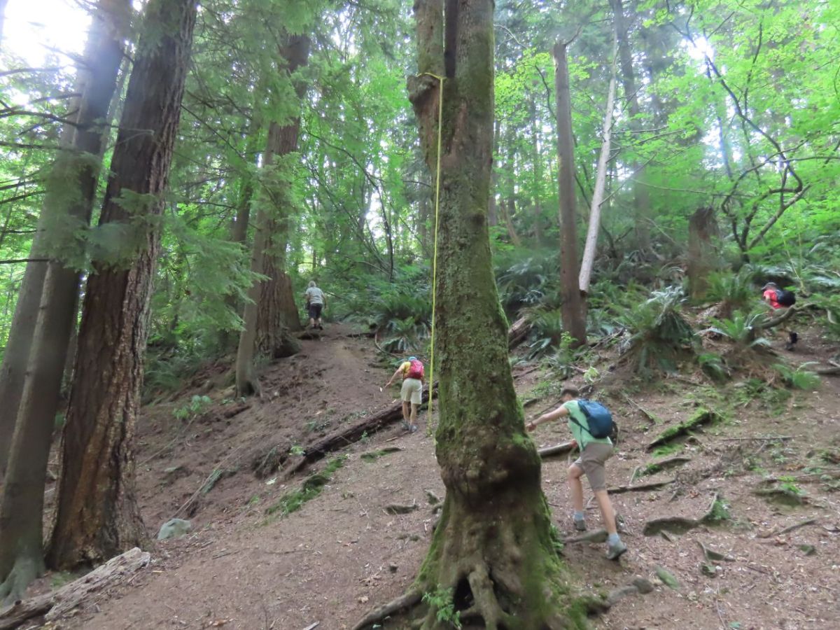 2023 September 3: Salop Trail and Hastings&nbsp;Creek