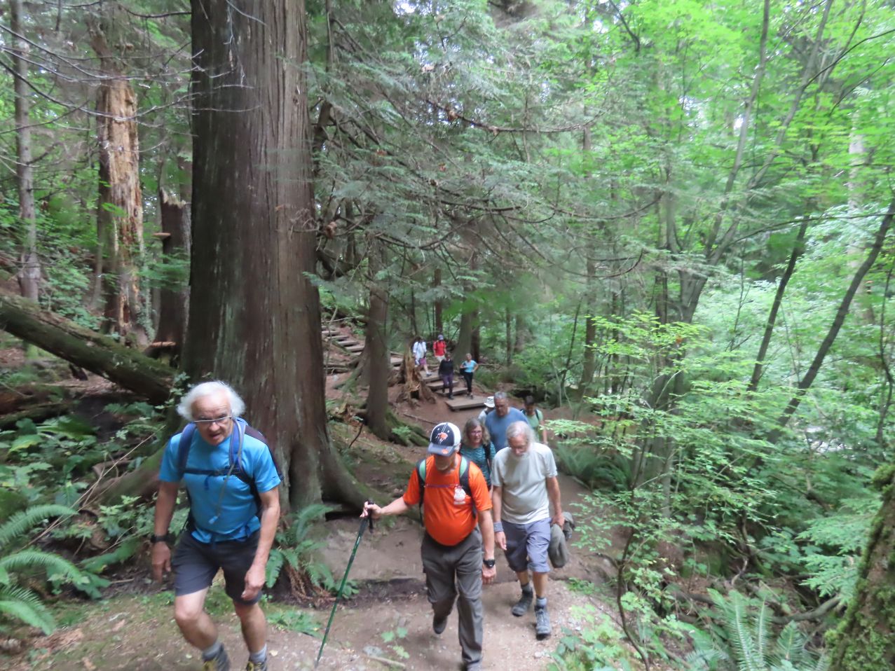 Line of Loopers ascending