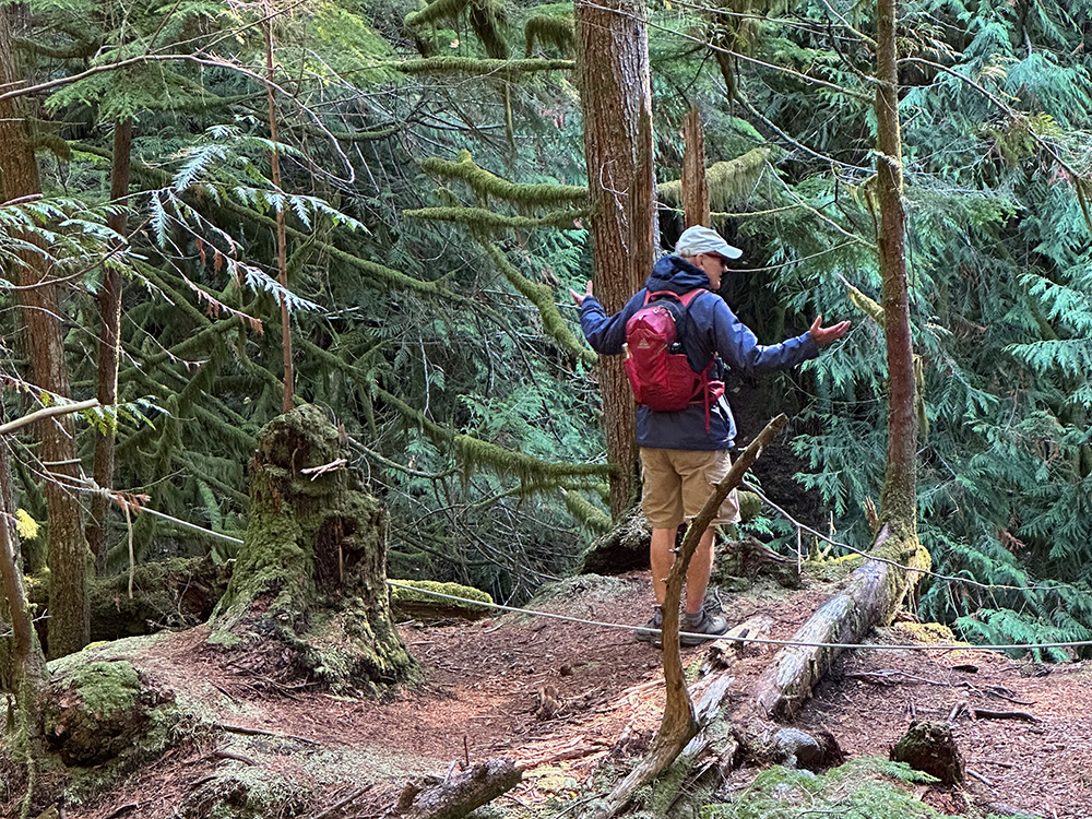 Where did the water go?