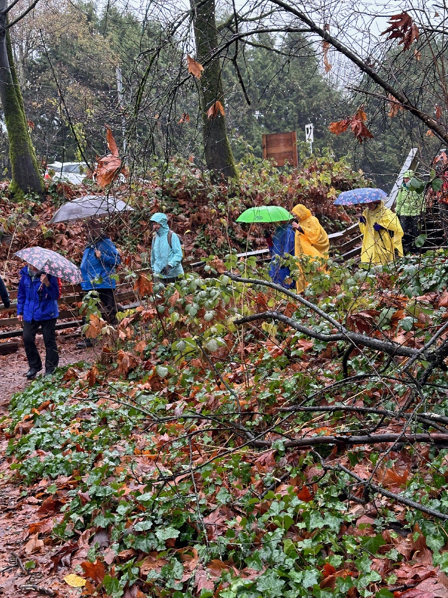 On the Sea to Sky Trail