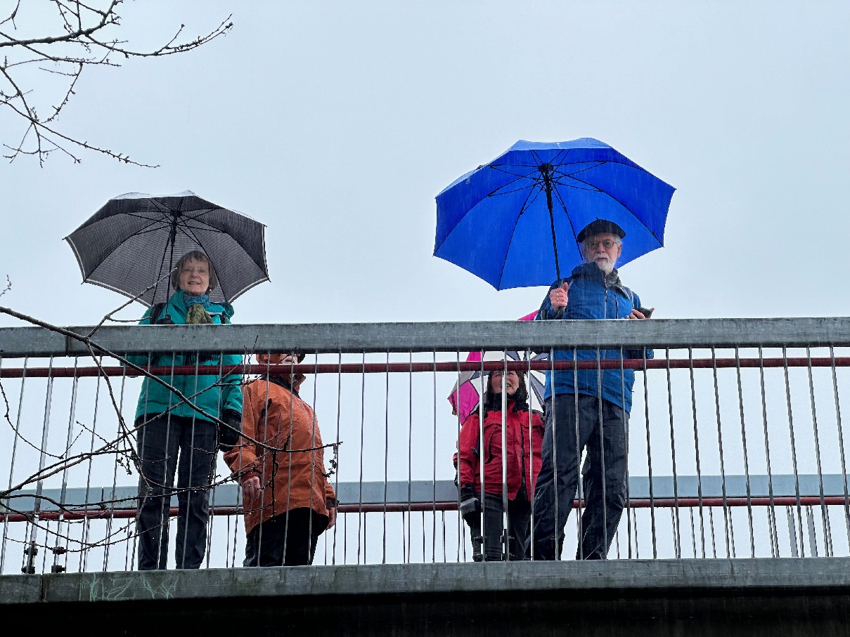 Loopers looking down