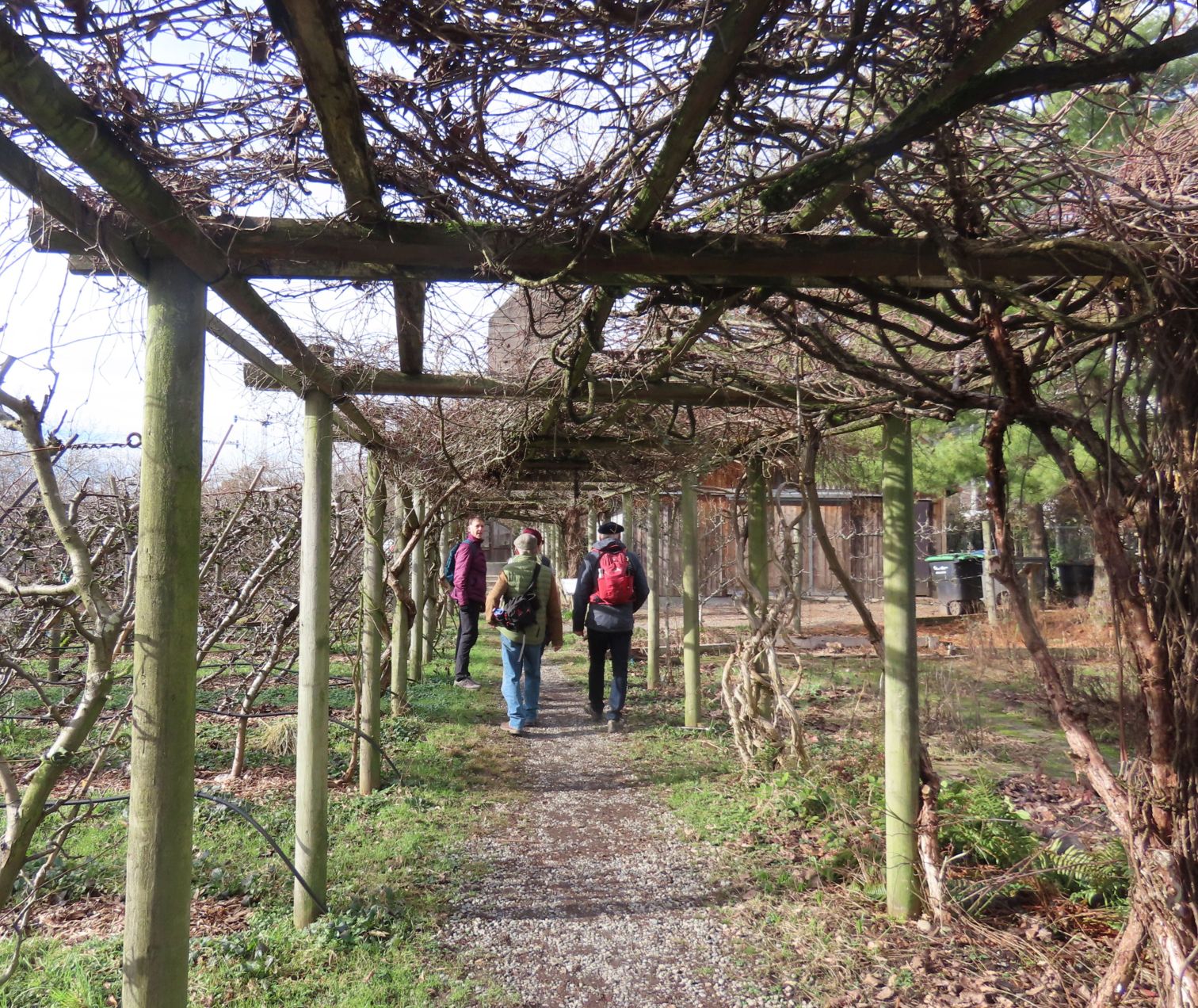 Strathcona community garden