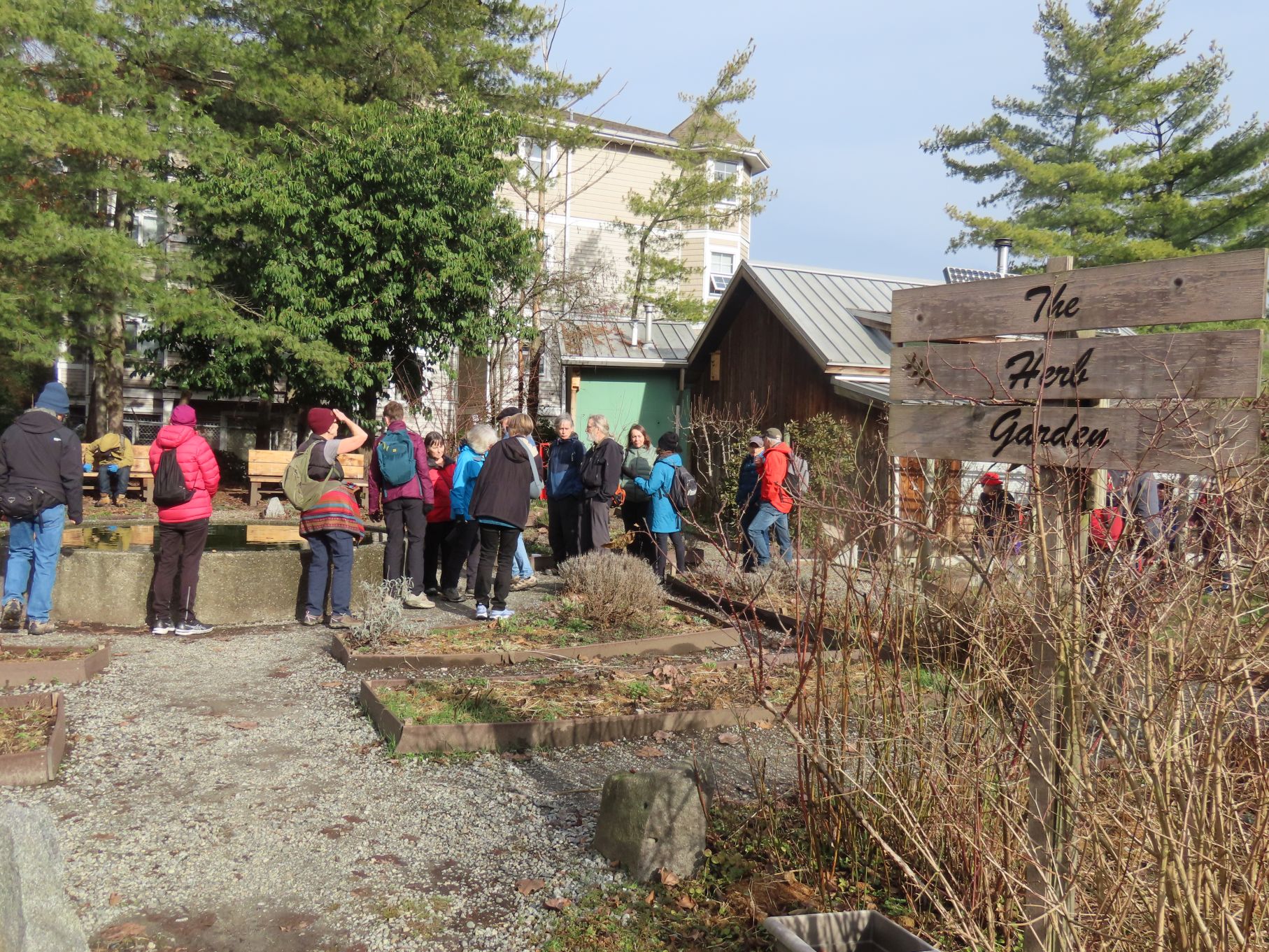 Strathcona community garden