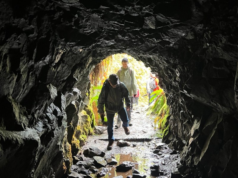 2024 April 7: Seymour River and Rice&nbsp;Lake