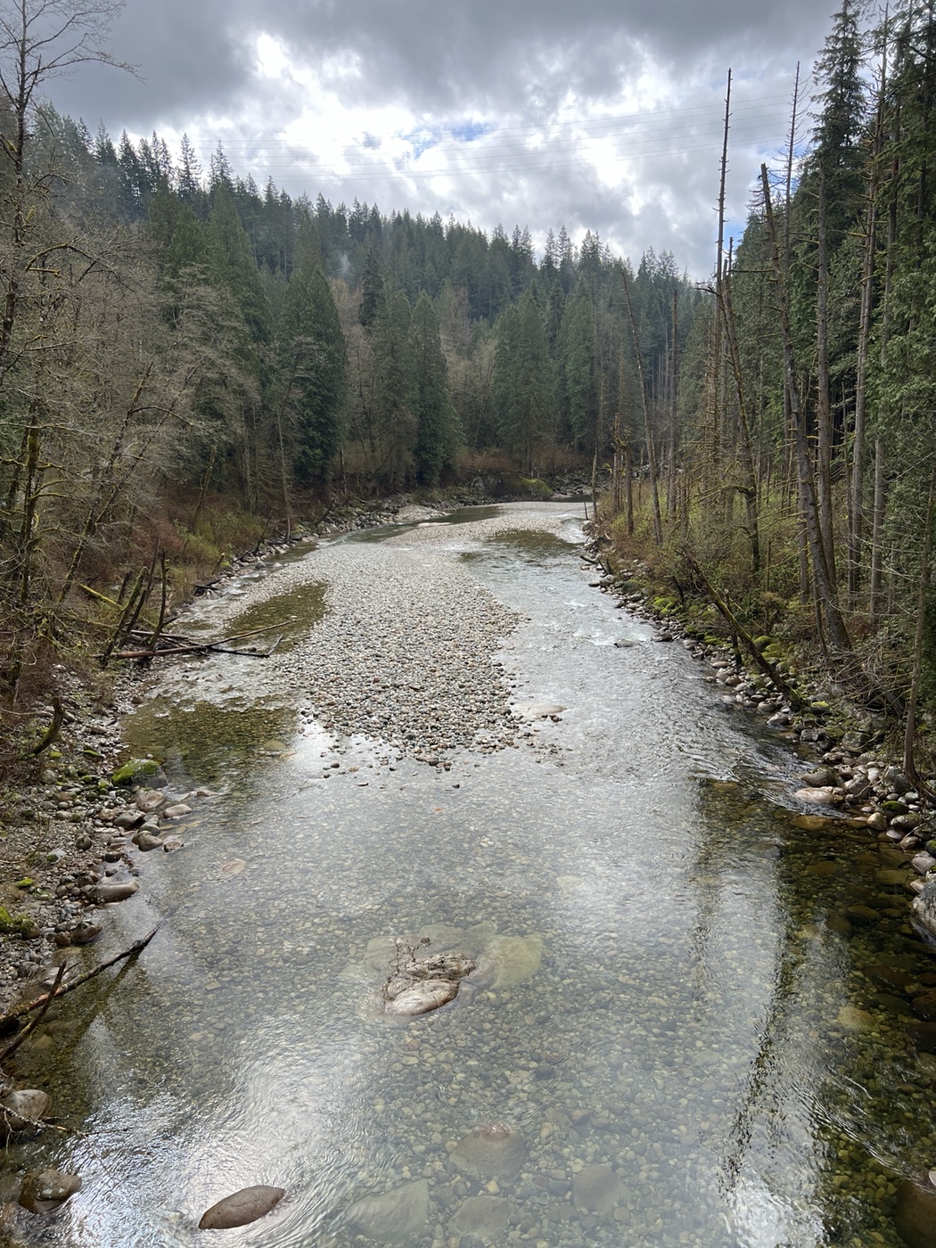 Seymour River from the bridge