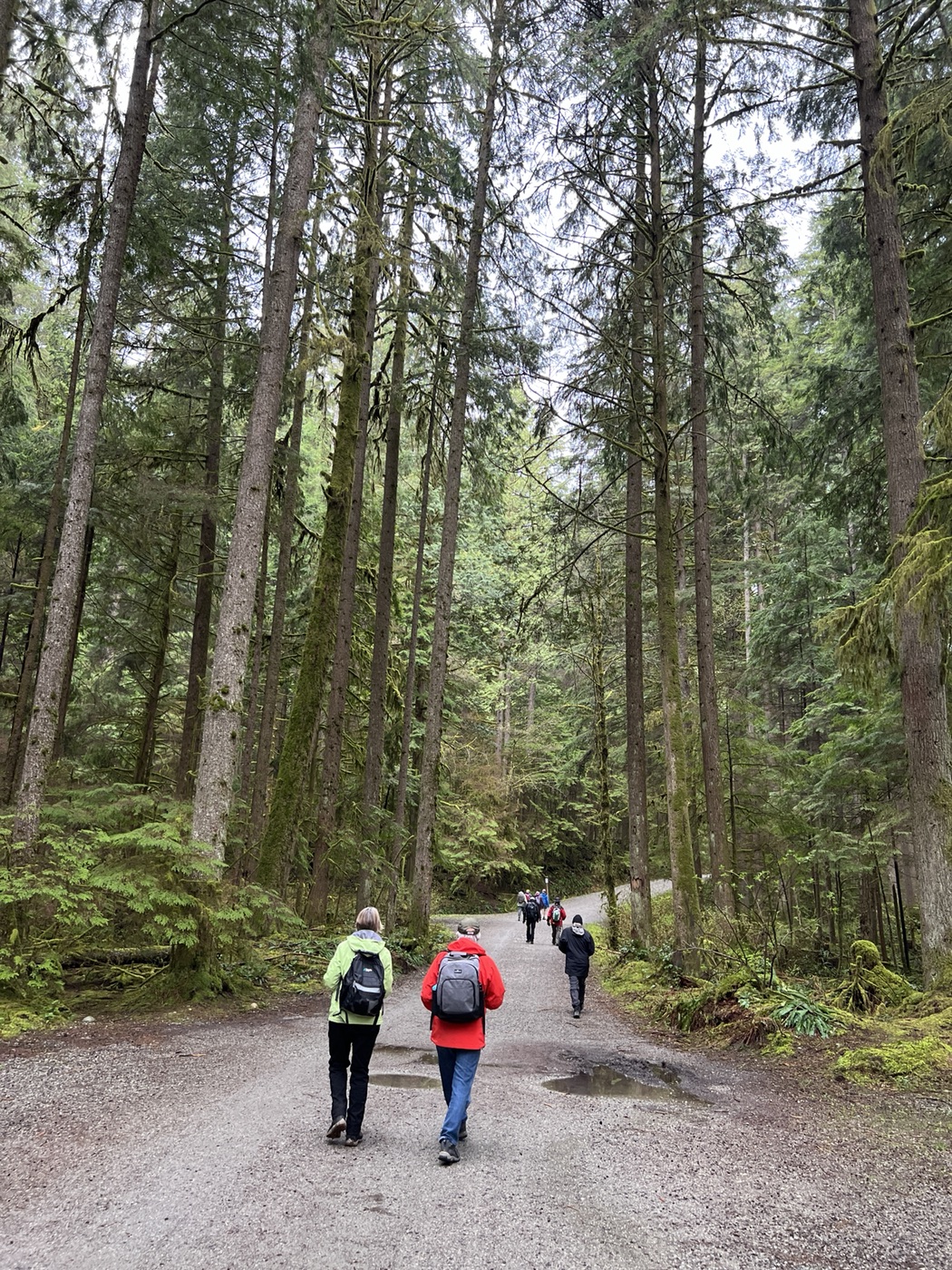 Following Jan and David