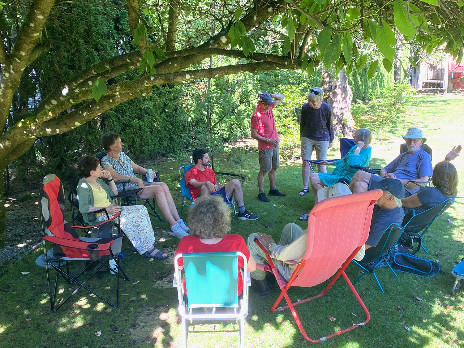 Under the magnolia tree