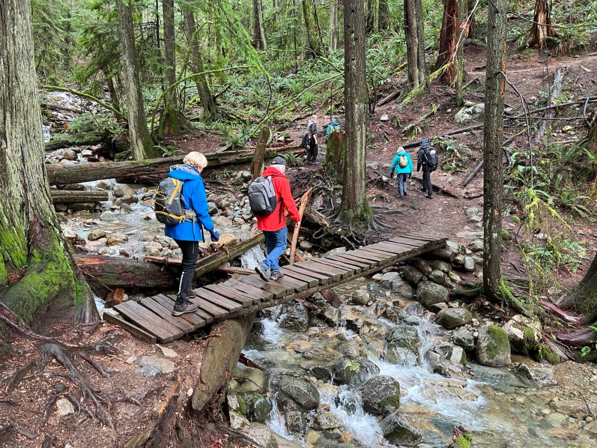 2025 January 5: Deep Cove forest&nbsp;walk