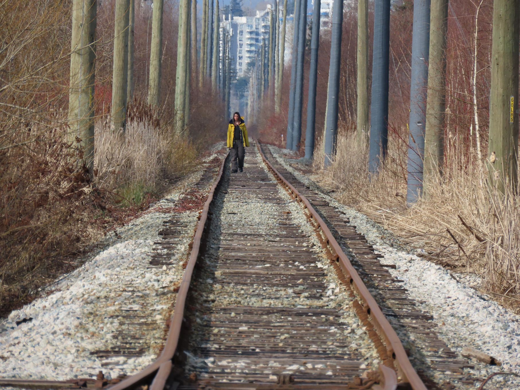 A stranger approaches from one direction ...