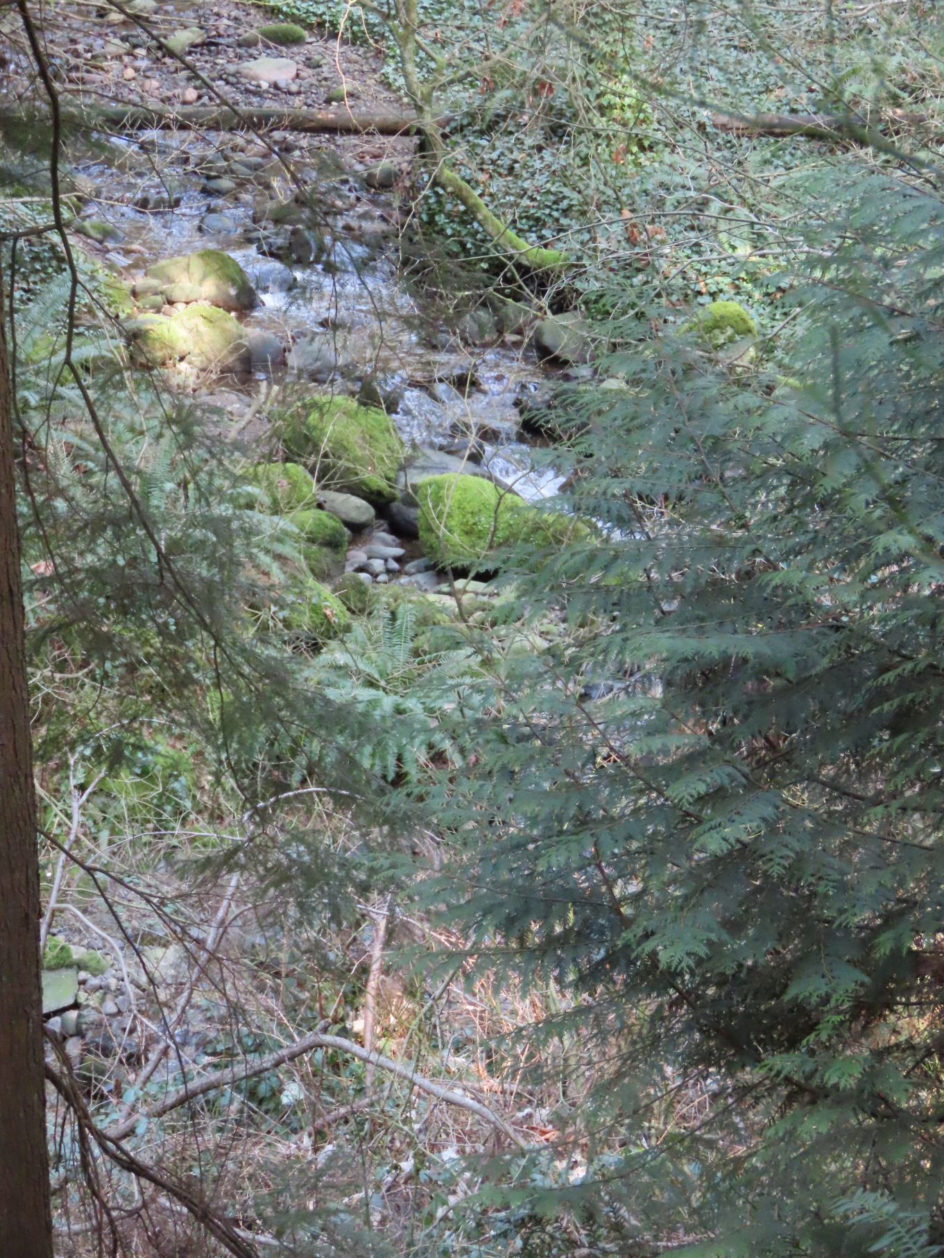 Byrne Creek below