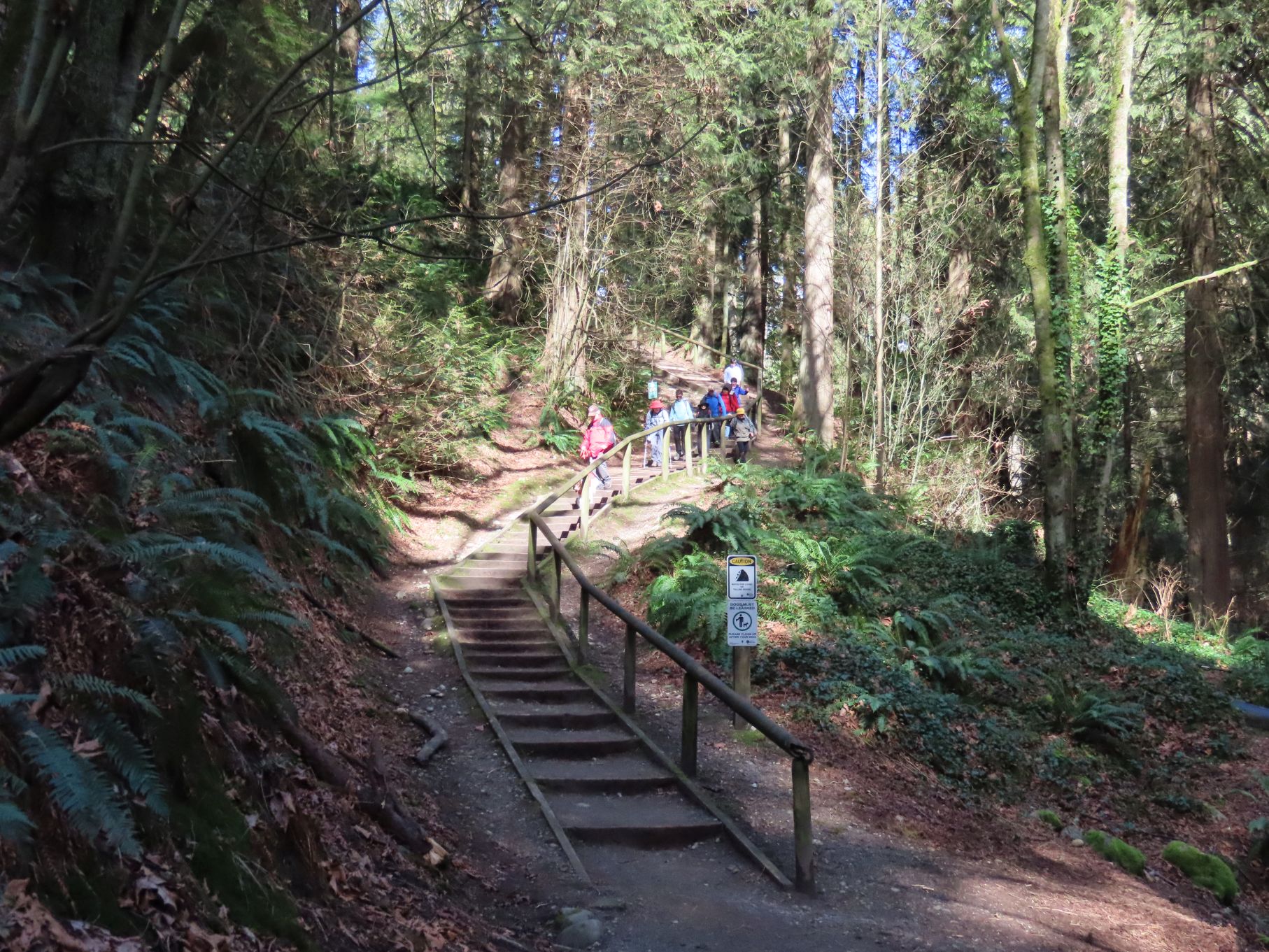 Loopers descending to Byrne Creek